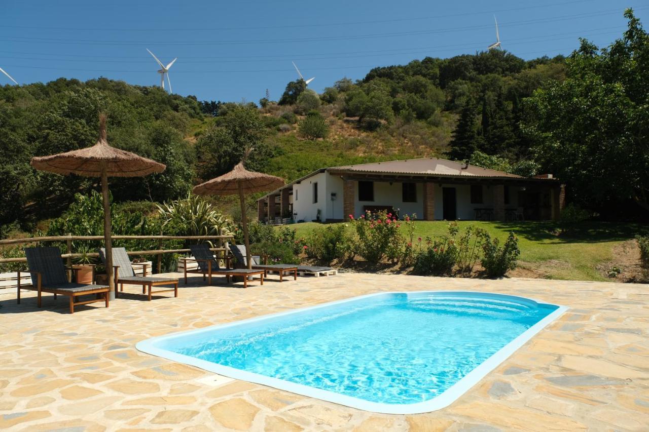Agroturismo The Wild Olive Andalucía Citrus