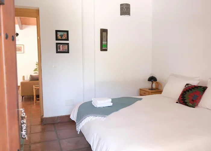 The Wild Olive Andalucia Citrus Suite