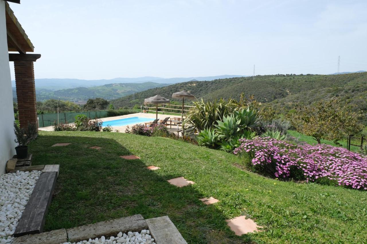 The Wild Olive Andalucia Citrus Farm stay
