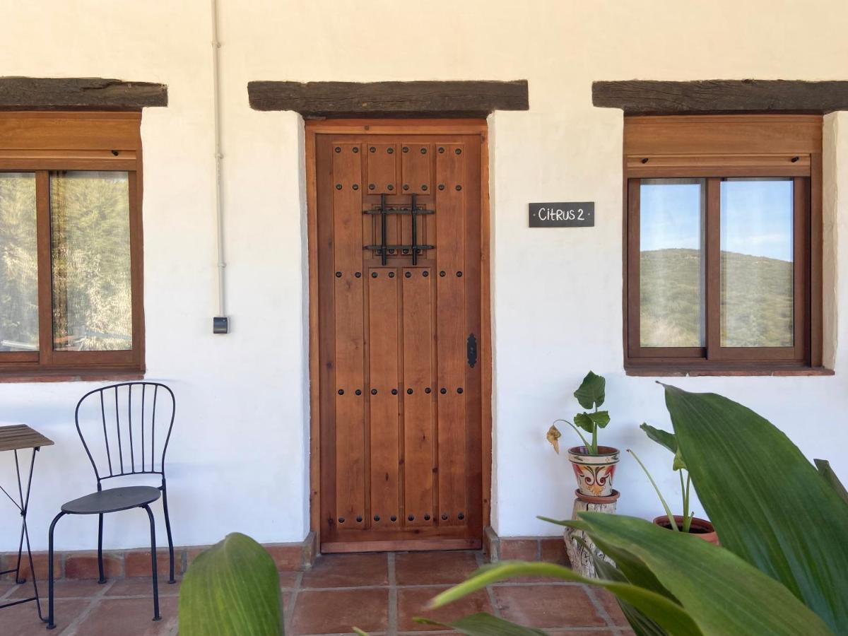 Farm stay The Wild Olive Andalucia Citrus Casares